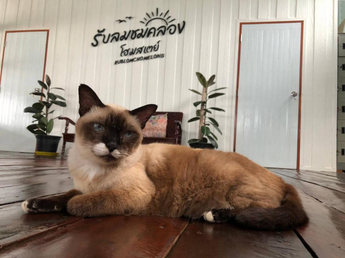 Rub Lom Chom Klong Homestay Chumphon Exteriör bild